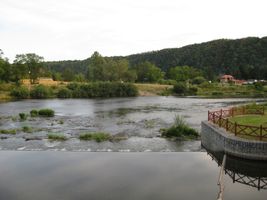 Berounka 2-u jezu v Klučicích 7.8.08 (2).JPG